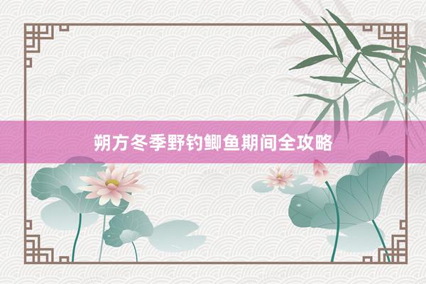 朔方冬季野钓鲫鱼期间全攻略